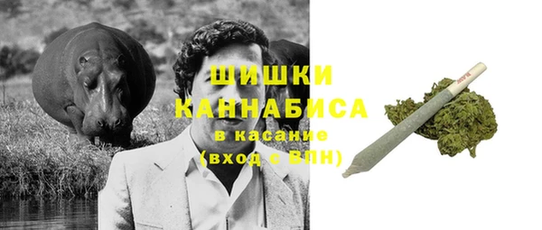 СК Вяземский