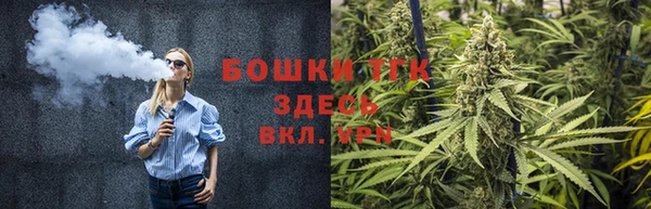СК Вяземский